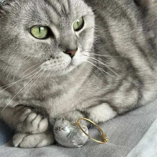 Pawsonalized Cat Charm – A Keepsake for Your Furry Companion