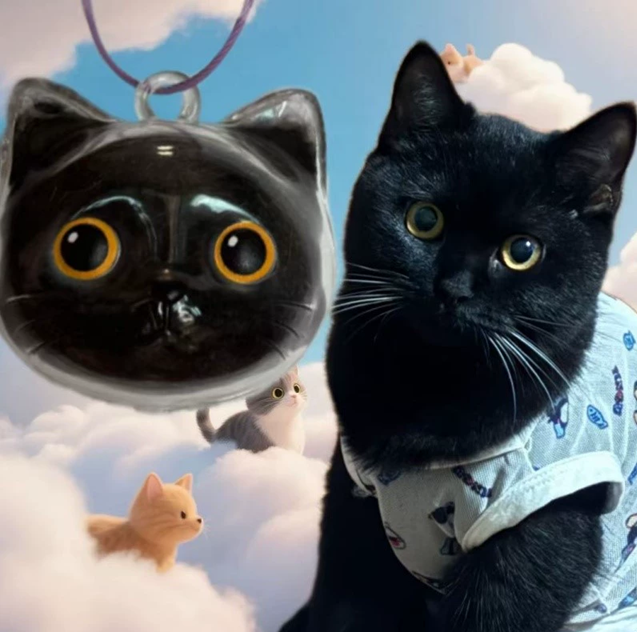 🐾 PawCharm Cat Fur Memory Keychain