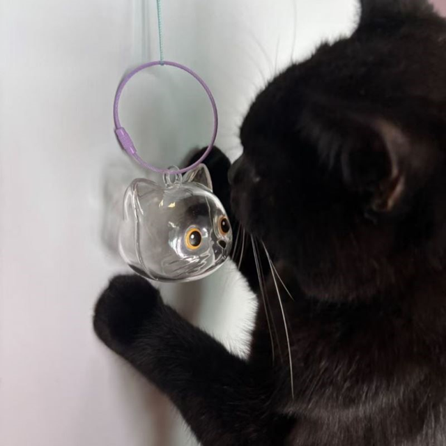 🐾 PawCharm Cat Fur Memory Keychain